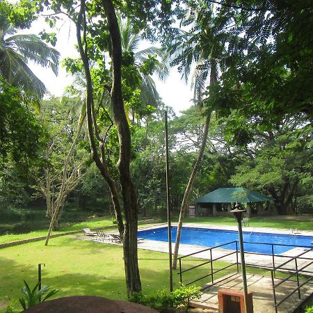 Hotel Dambulu Oya Family Park Dambulla Zewnętrze zdjęcie