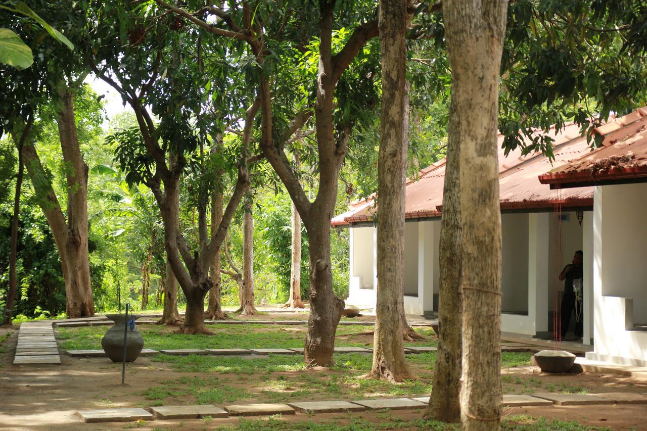 Hotel Dambulu Oya Family Park Dambulla Zewnętrze zdjęcie