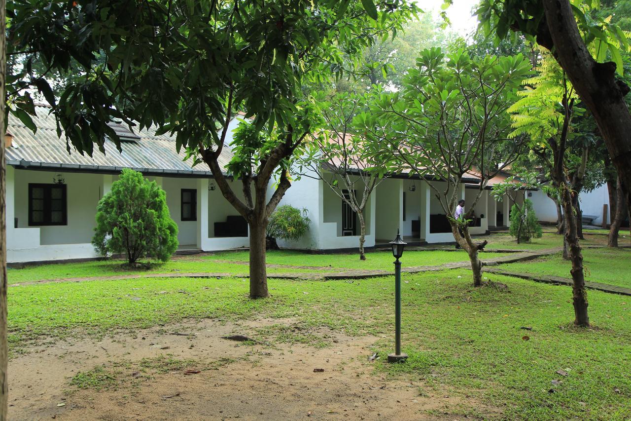 Hotel Dambulu Oya Family Park Dambulla Zewnętrze zdjęcie