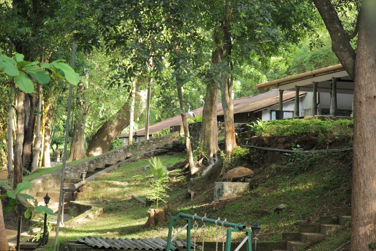 Hotel Dambulu Oya Family Park Dambulla Zewnętrze zdjęcie