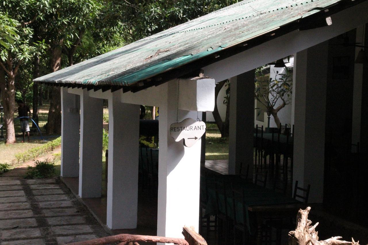 Hotel Dambulu Oya Family Park Dambulla Zewnętrze zdjęcie