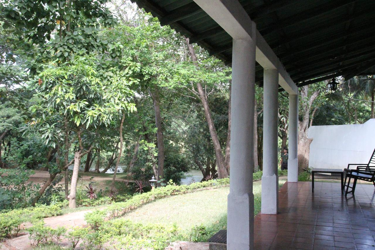 Hotel Dambulu Oya Family Park Dambulla Zewnętrze zdjęcie
