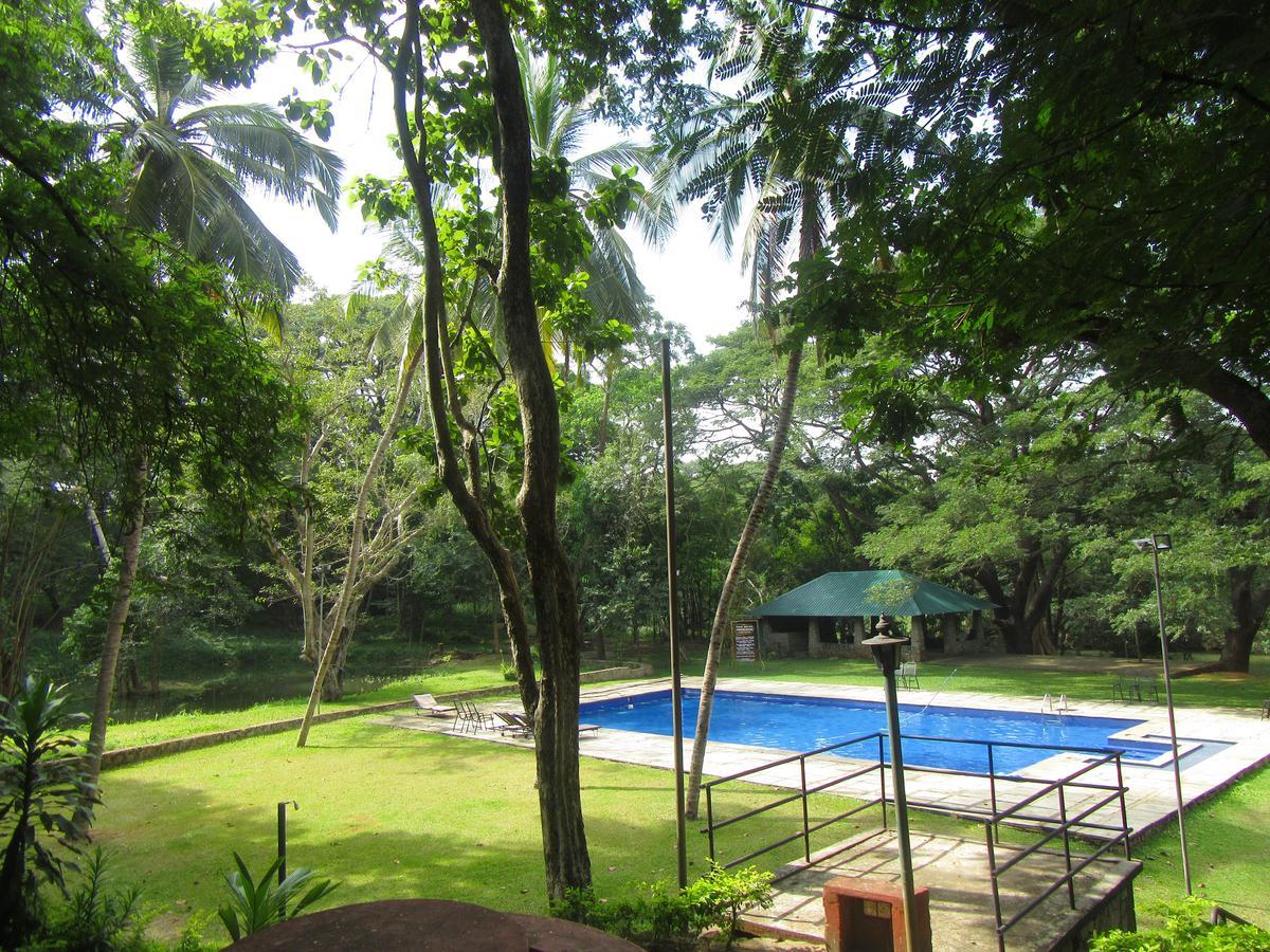Hotel Dambulu Oya Family Park Dambulla Zewnętrze zdjęcie
