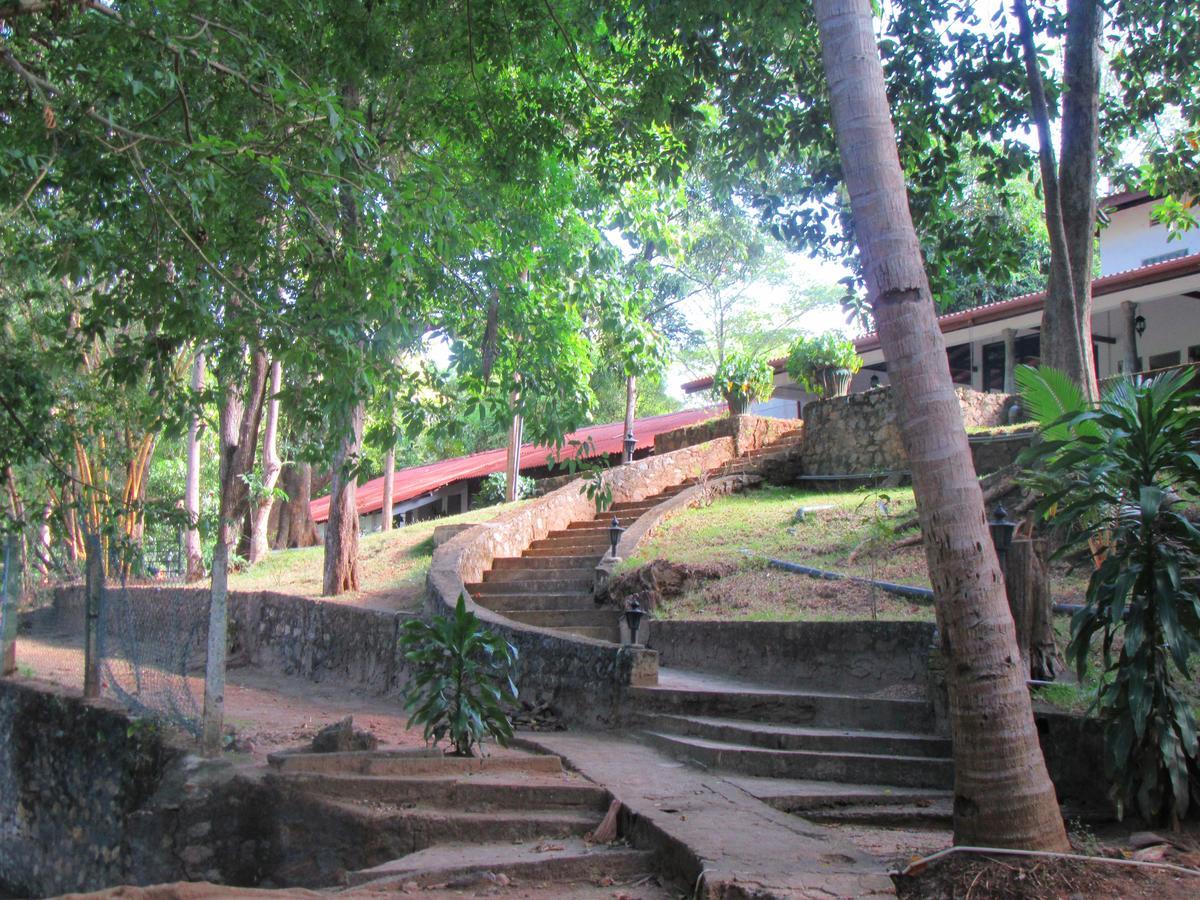 Hotel Dambulu Oya Family Park Dambulla Zewnętrze zdjęcie