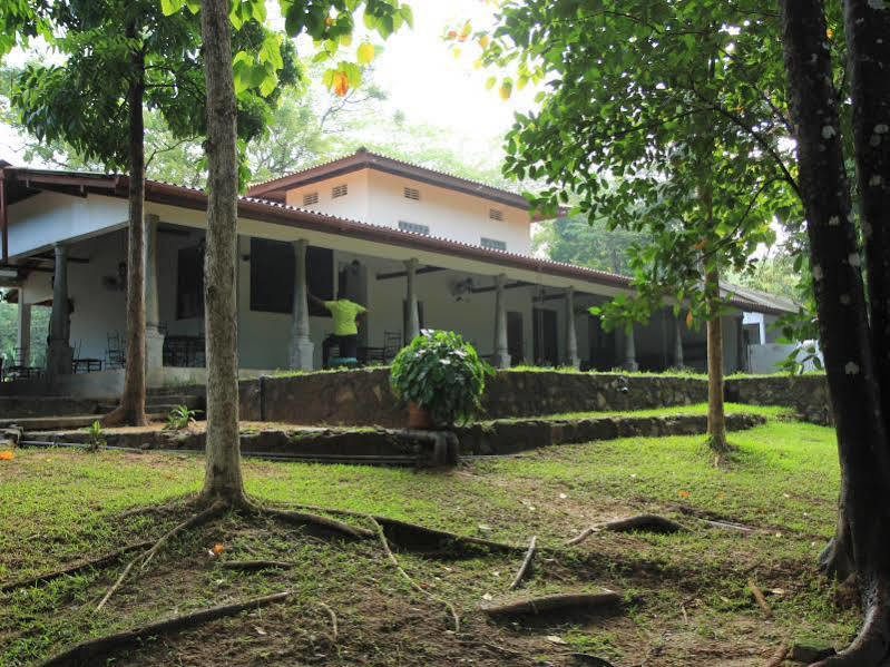 Hotel Dambulu Oya Family Park Dambulla Zewnętrze zdjęcie