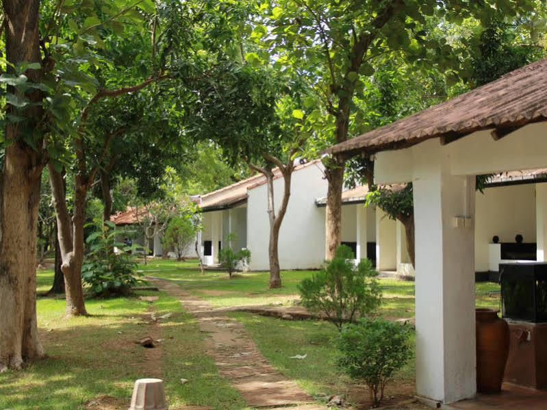 Hotel Dambulu Oya Family Park Dambulla Zewnętrze zdjęcie