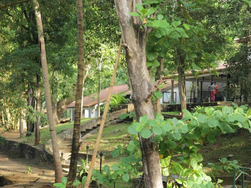 Hotel Dambulu Oya Family Park Dambulla Zewnętrze zdjęcie