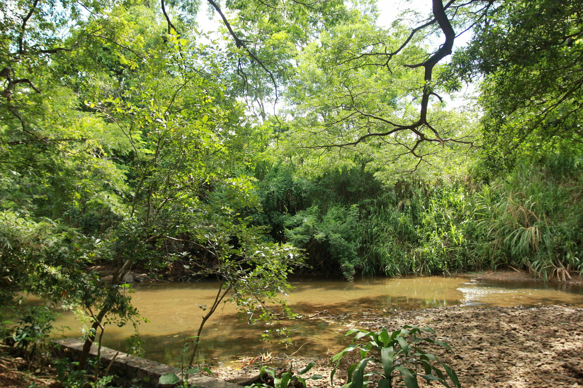 Hotel Dambulu Oya Family Park Dambulla Zewnętrze zdjęcie