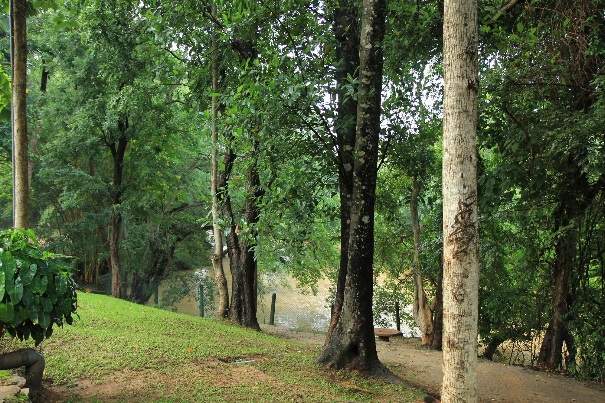 Hotel Dambulu Oya Family Park Dambulla Zewnętrze zdjęcie