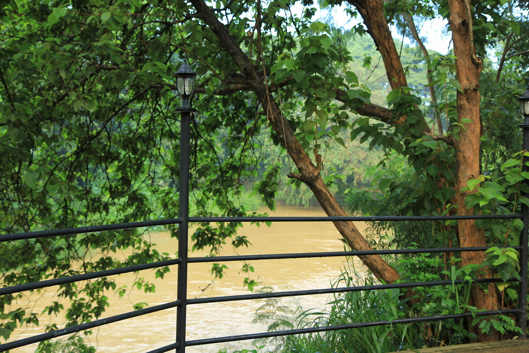 Hotel Dambulu Oya Family Park Dambulla Zewnętrze zdjęcie