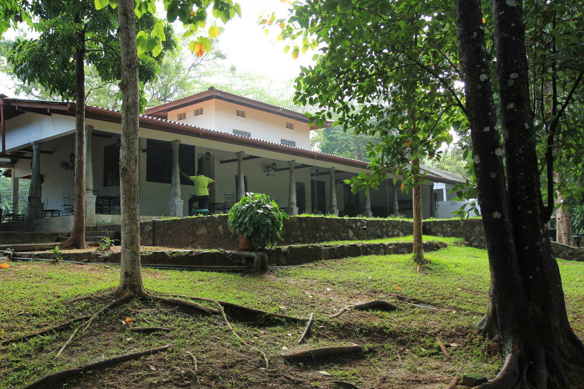 Hotel Dambulu Oya Family Park Dambulla Zewnętrze zdjęcie