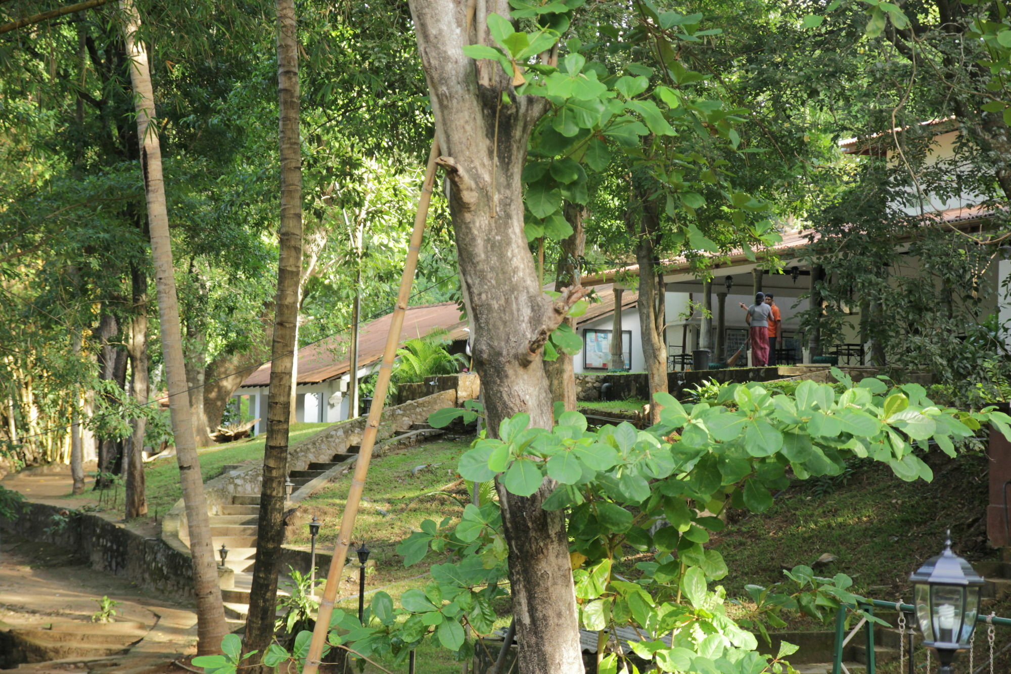 Hotel Dambulu Oya Family Park Dambulla Zewnętrze zdjęcie