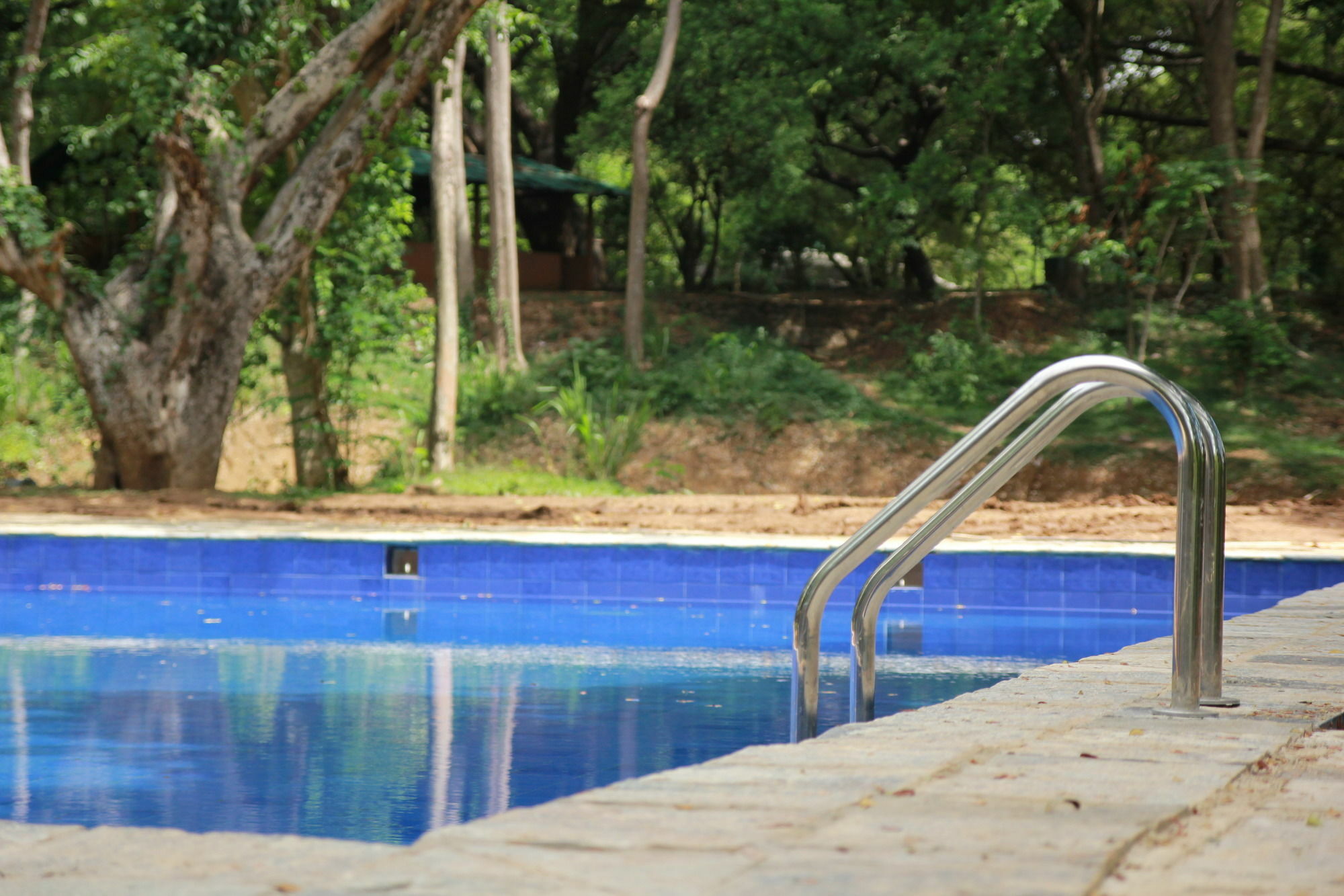 Hotel Dambulu Oya Family Park Dambulla Zewnętrze zdjęcie