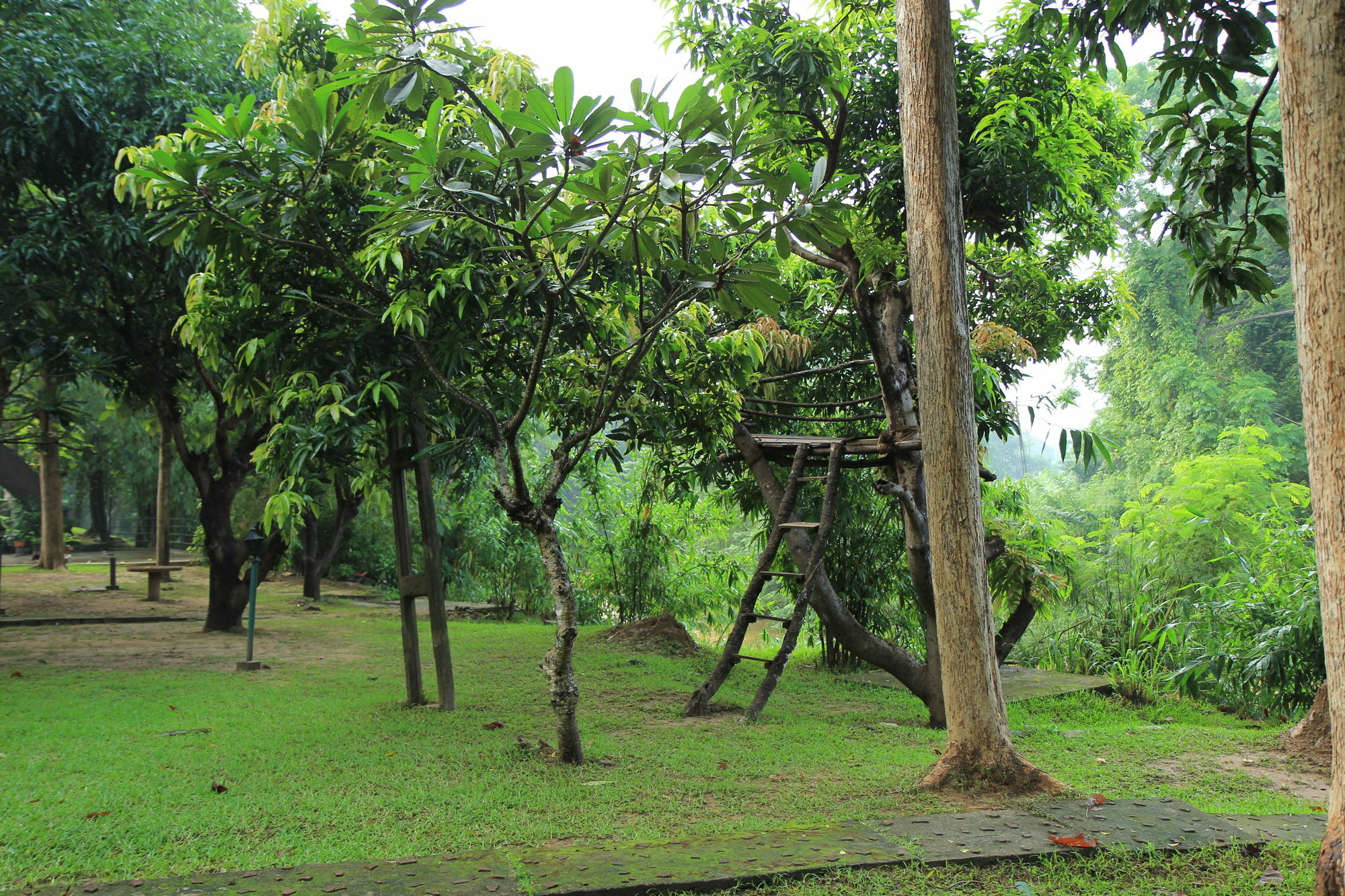 Hotel Dambulu Oya Family Park Dambulla Zewnętrze zdjęcie